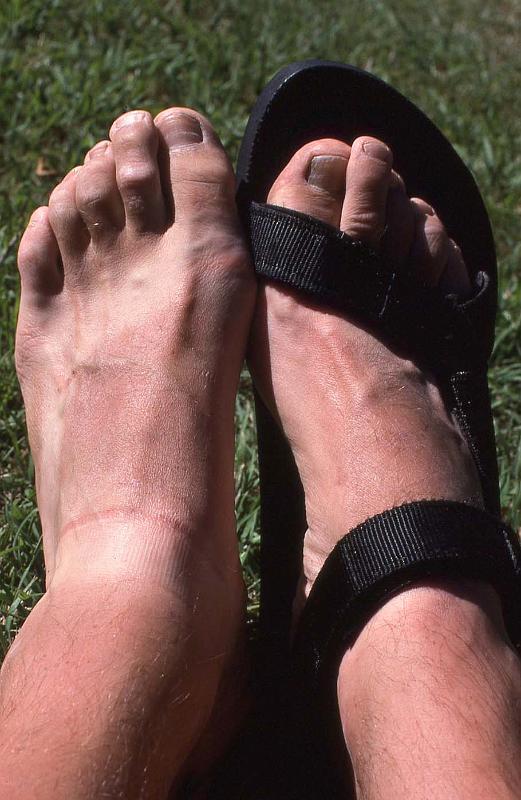 WT 0200 029-02 New Zealand.jpg